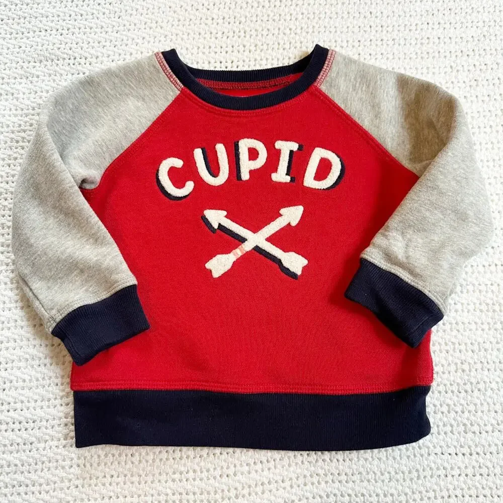 Baby Gap Cupid Sweatshirt